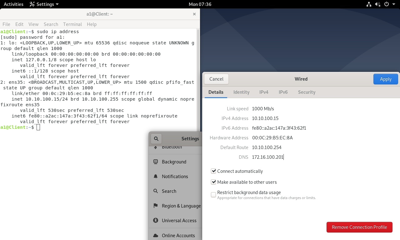 image-20220711193649639